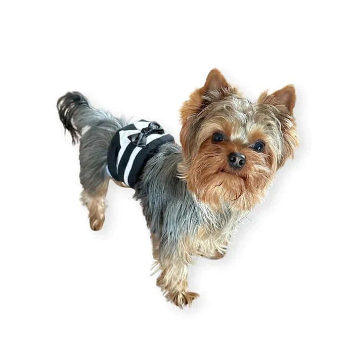 Tuxedo Belly Band - Posh Puppy Boutique