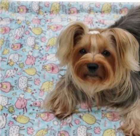 Ultra Soft Minky Funny Sheep Pajamas & Matching Blanket - Posh Puppy Boutique