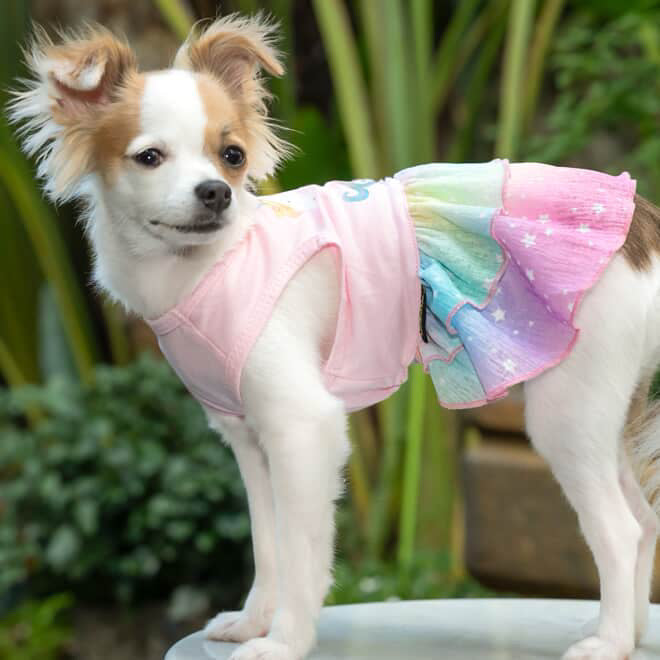 Unicorn Dog Tutu Dress