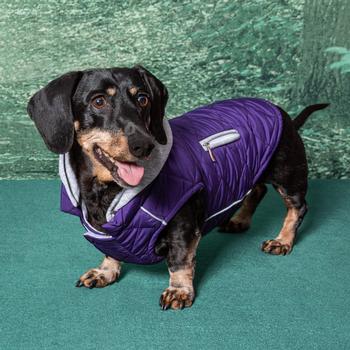 Weekender Dog Sweatshirt Hoodie - Purple - Posh Puppy Boutique