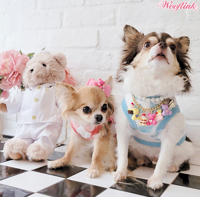 Wooflink BB Loves Cupcake Top - Watermelon