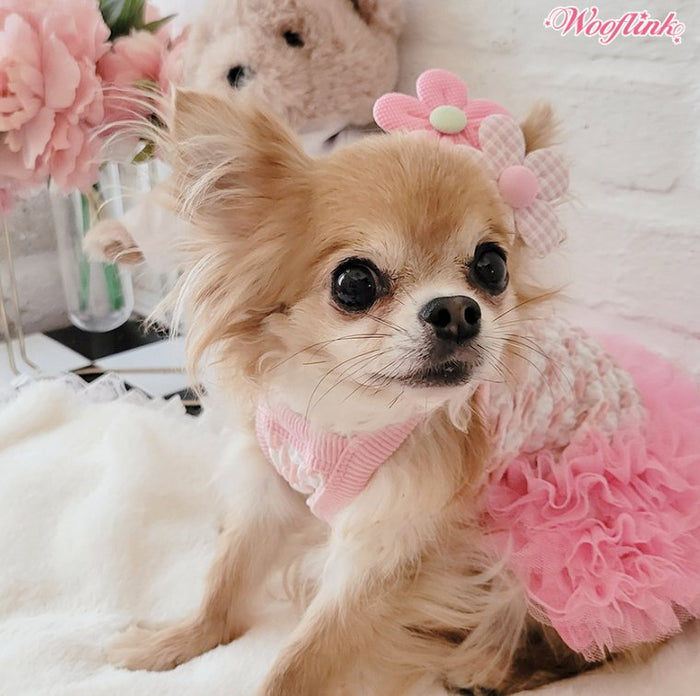 Wooflink Hey Gorgeous Girl Mini Dress - Pink - Posh Puppy Boutique