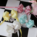 Wooflink Hi Spring Necklace in 4 Colors