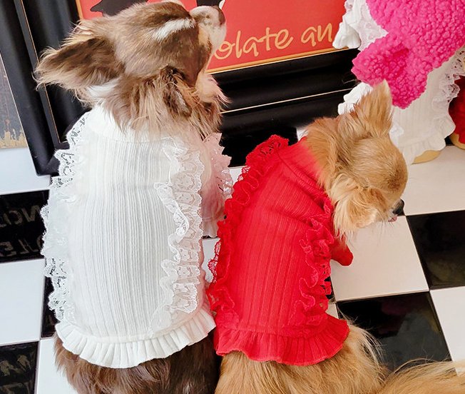 Wooflink Holiday Ready Turtleneck in Red - Posh Puppy Boutique