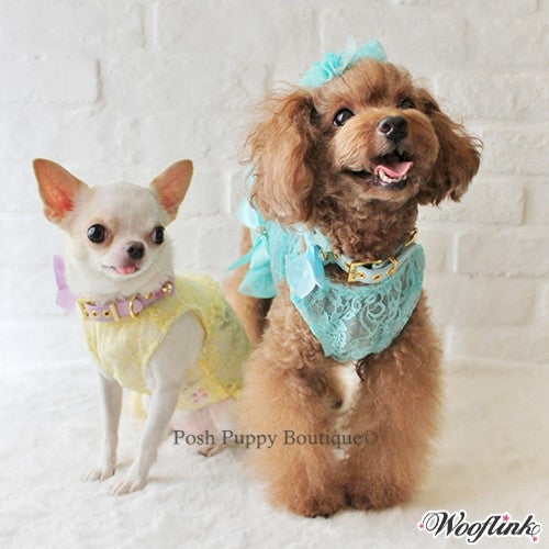 Wooflink My Boo Dress- Black - Posh Puppy Boutique