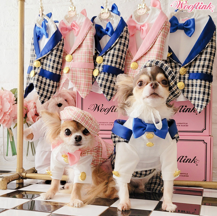 Wooflink Party Season Tux - Blue