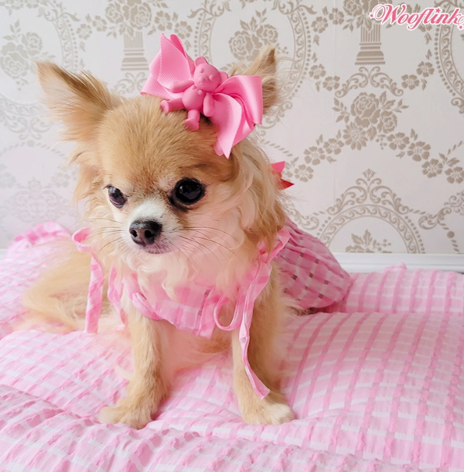 Wooflink Summer Dream Dress - Pink