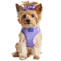 Wrap and Snap Choke Free Dog Harness - Paisley Purple - Posh Puppy Boutique