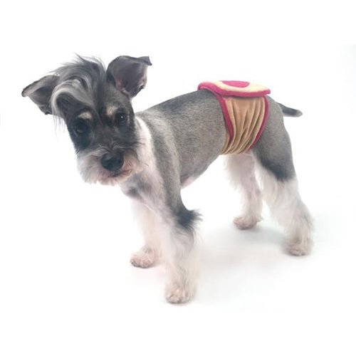XOX Belly Band - Posh Puppy Boutique
