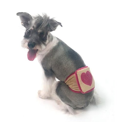 XOX Belly Band - Posh Puppy Boutique