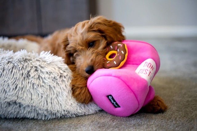 Zippy Paws Coffee and Donutz Food Buddies Burrow - Posh Puppy Boutique