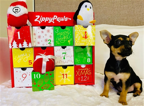 Zippy Paws Holiday Advent Calendar